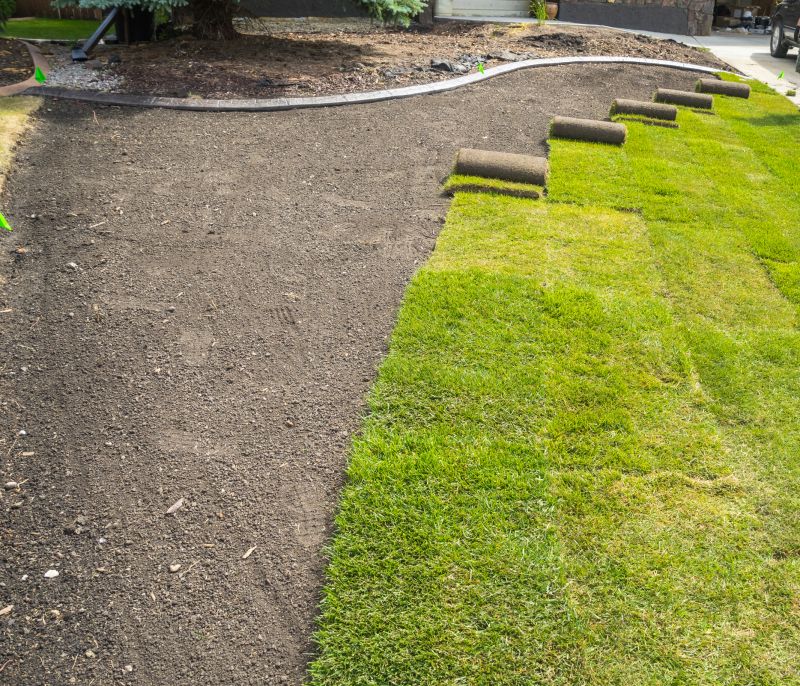 Sod Removal Service
