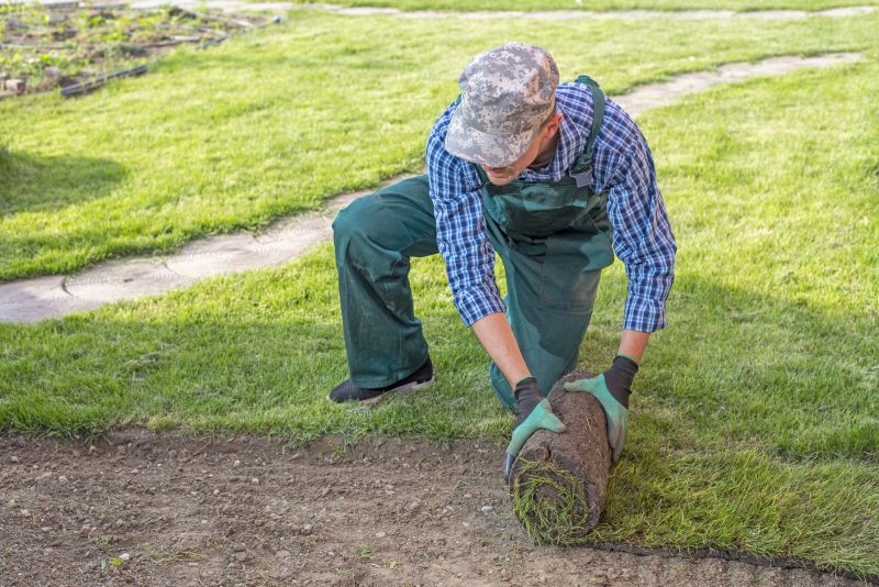 Sod Removal Service