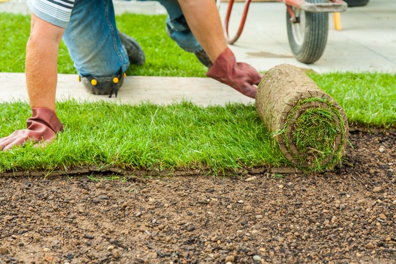 Sod Removal Cost Guide — Cost of Sod Removal Service