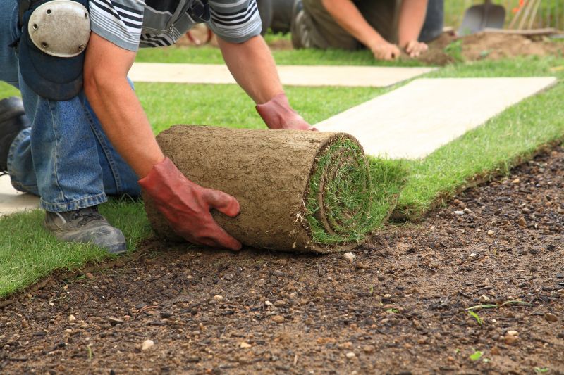 Sod Removal Cost Guide — Cost of Sod Removal Service