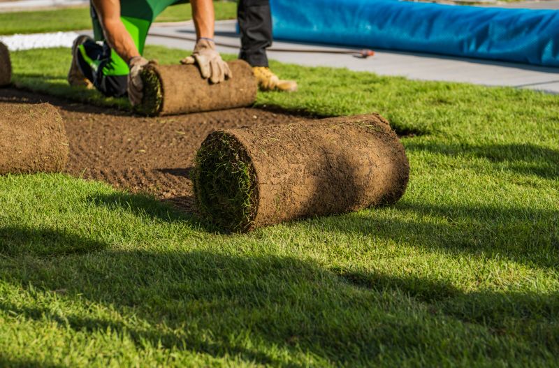 Sod Removal Service