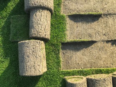 Get Sustainable Landscaping!